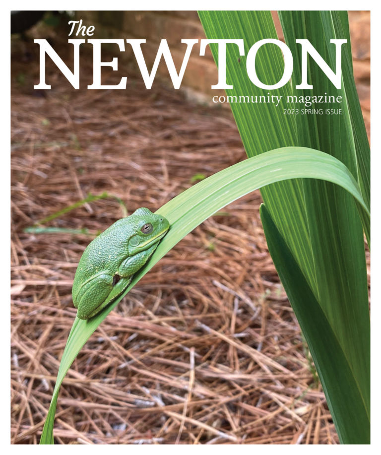 Spring 2023 issue cover
