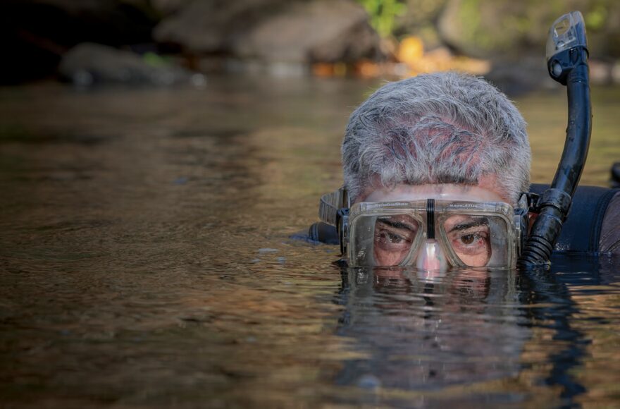 In Pursuit of the Hellbender Salamander