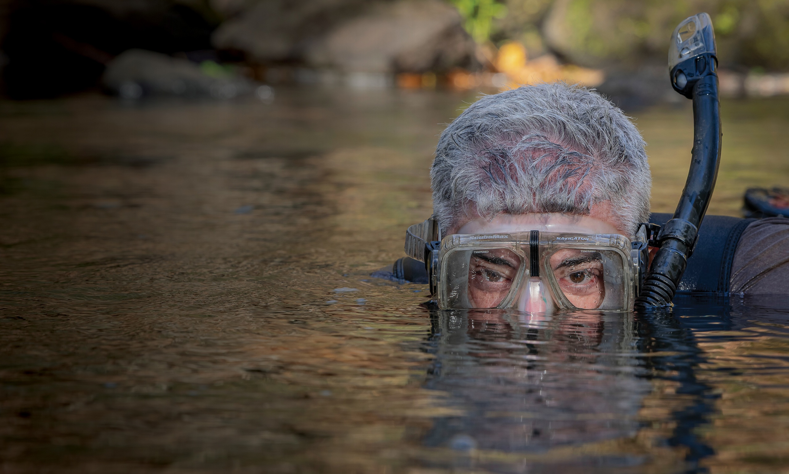 In Pursuit of the Hellbender Salamander