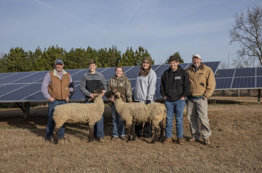 Shepherds of the Sun