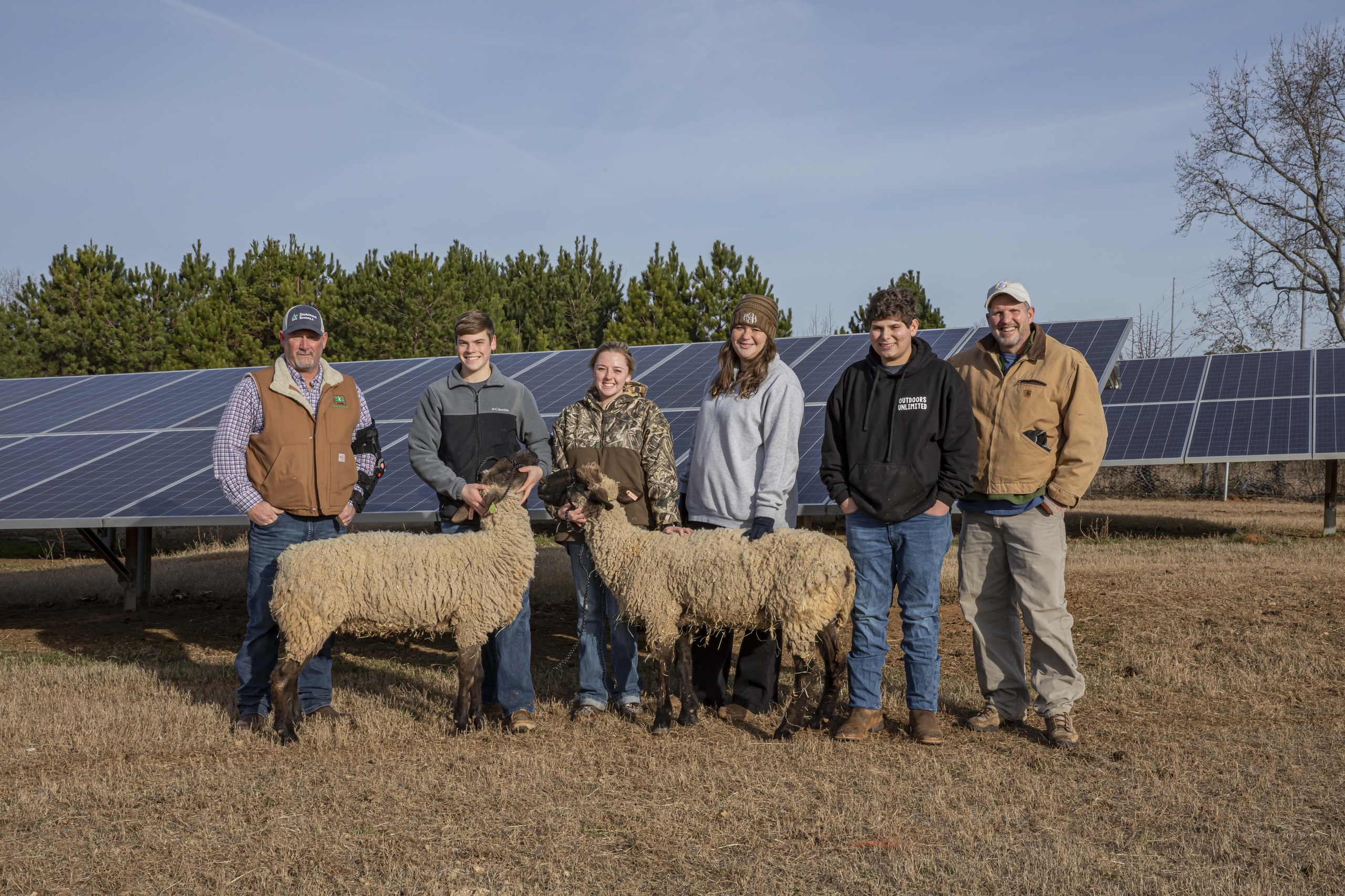 Shepherds of the Sun