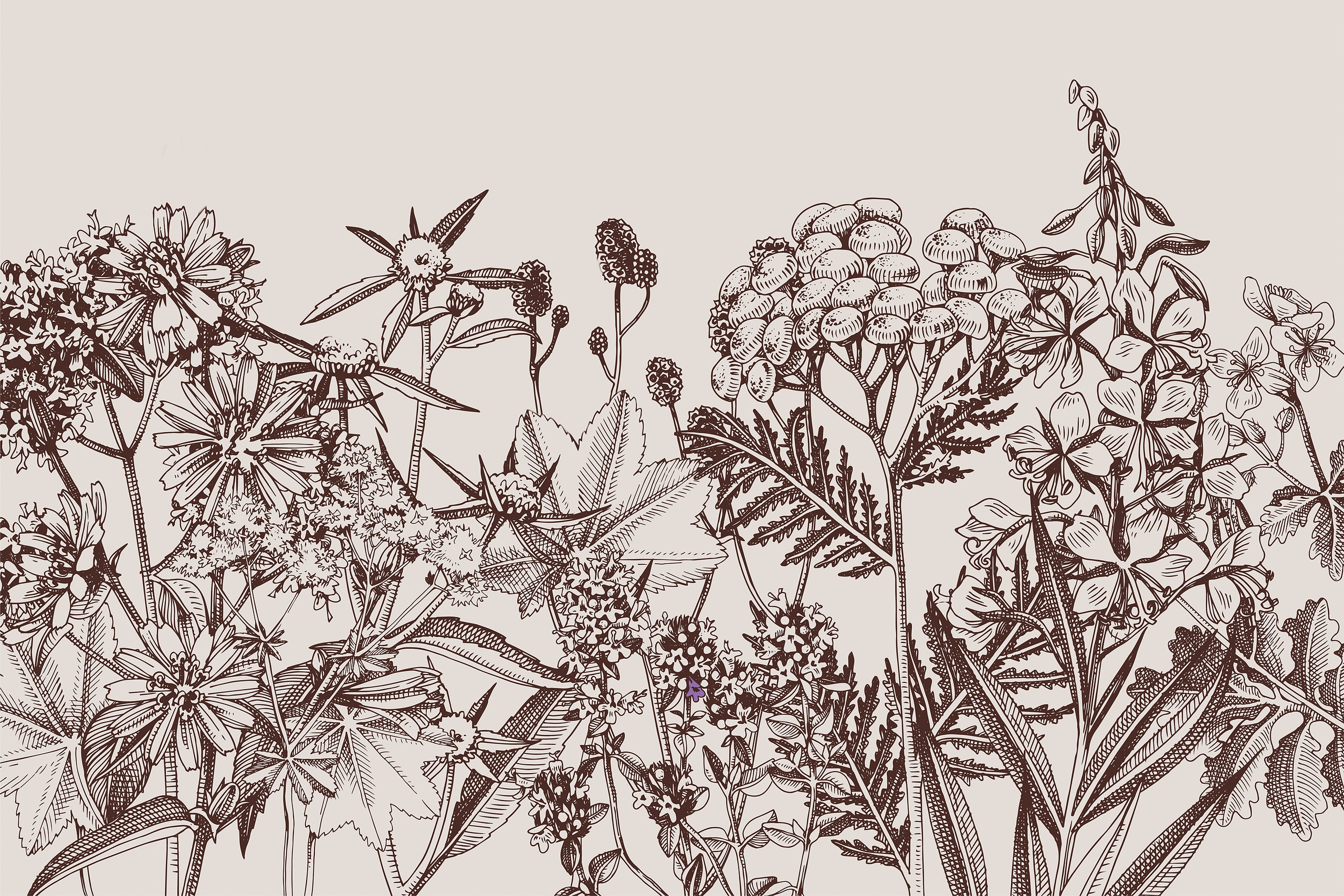 Favorite Four - botanical illustration of goldenrod, mullein, nettles and purslane
