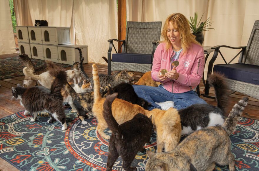 No Feline Left Behind - Payton Coleman with the cats at Kat Pawz Sanctuary