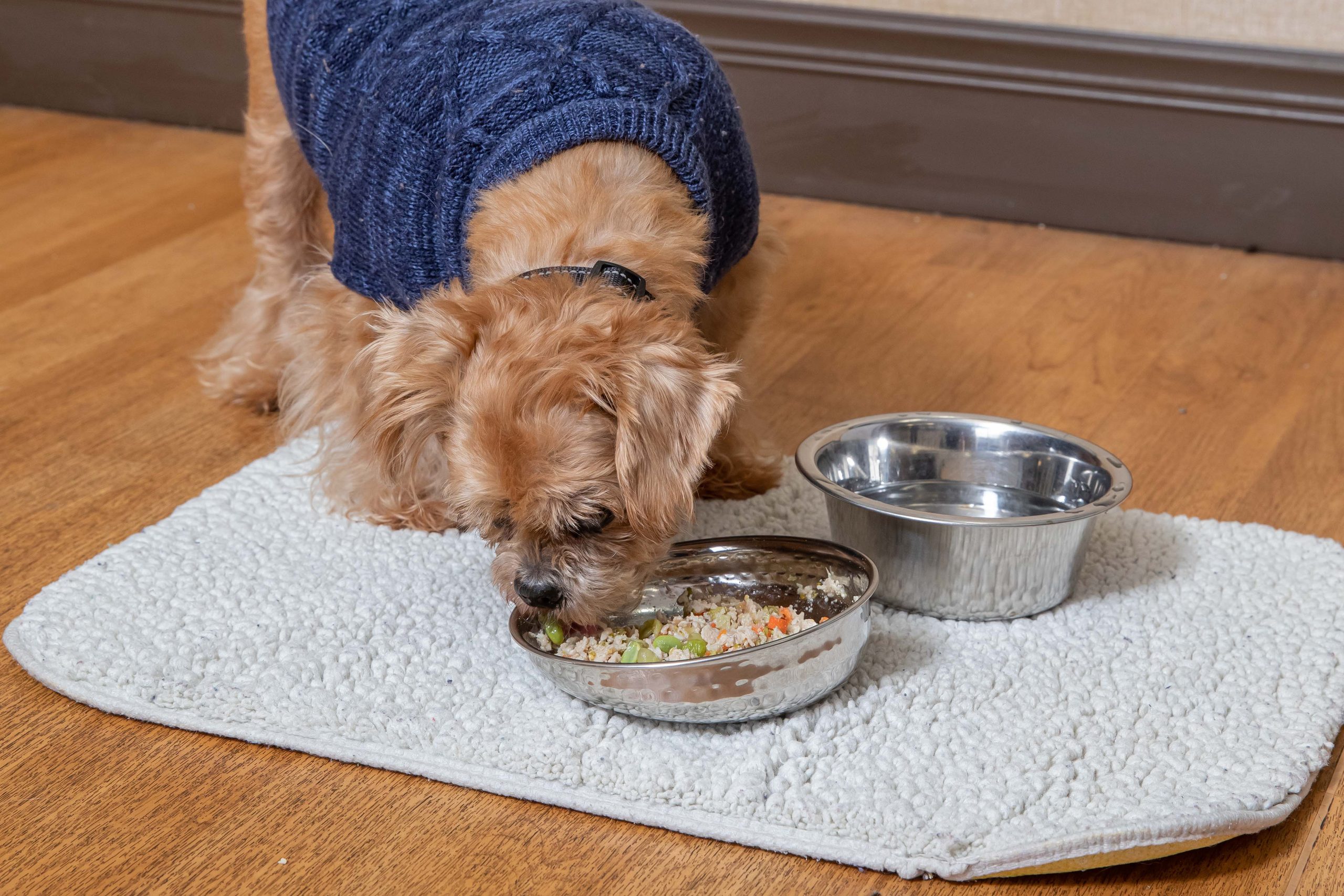 The Whole Pet Diet Chicken Stew